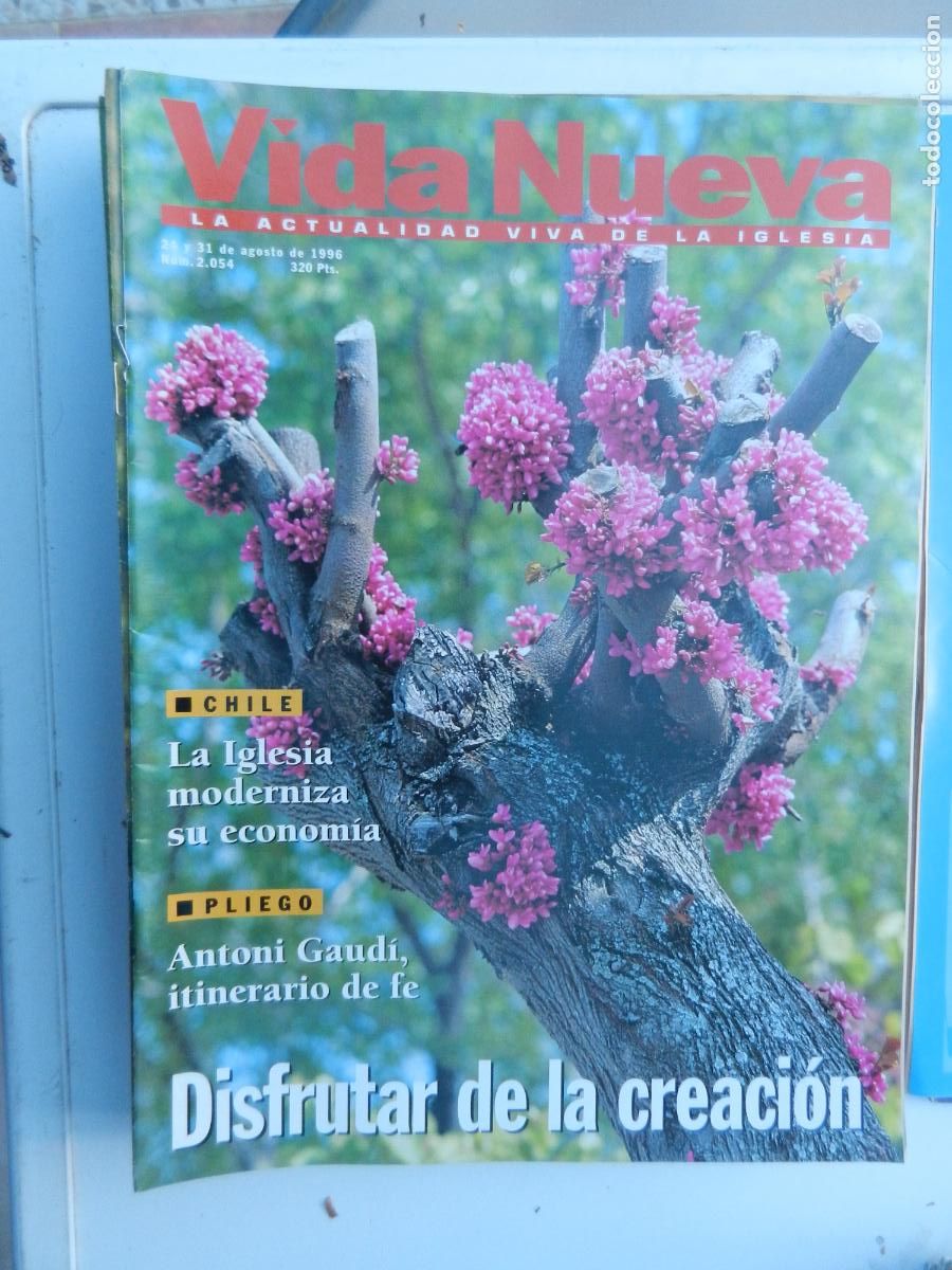 Coleccionismo de Revistas y Peri&oacute;dicos: VIDA NUEVA , LA ACTUALIDAD VIVA DE LA IGLESIA N&ordm; 2054 - 08-1996 -ANTONIO GAUDI INTINERARIO DE LA FE