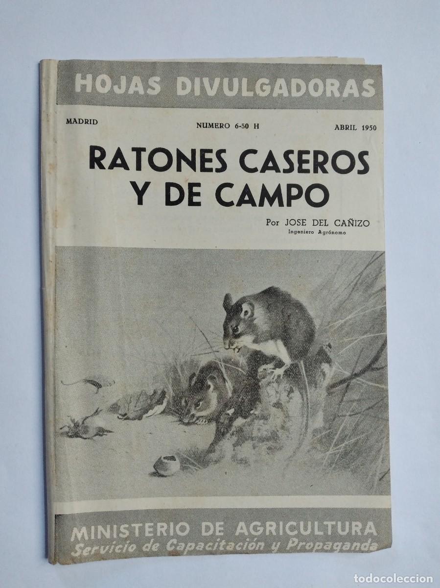 Sammeln von Zeitschriften und Zeitungen: HOJAS DIVULGADORAS N&ordm; 6 1950 RATONES CASEROS Y DE CAMPO JOS&Eacute; DEL CA&Ntilde;IZO