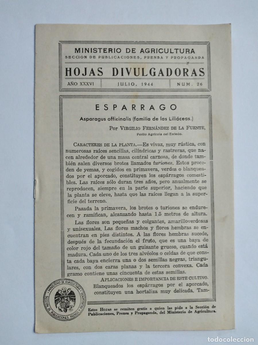 Sammeln von Zeitschriften und Zeitungen: HOJAS DIVULGADORAS N&ordm; 26 1944 ESP&Aacute;RRAGO VIRGILIO FERN&Aacute;NDEZ DE LA FUENTE