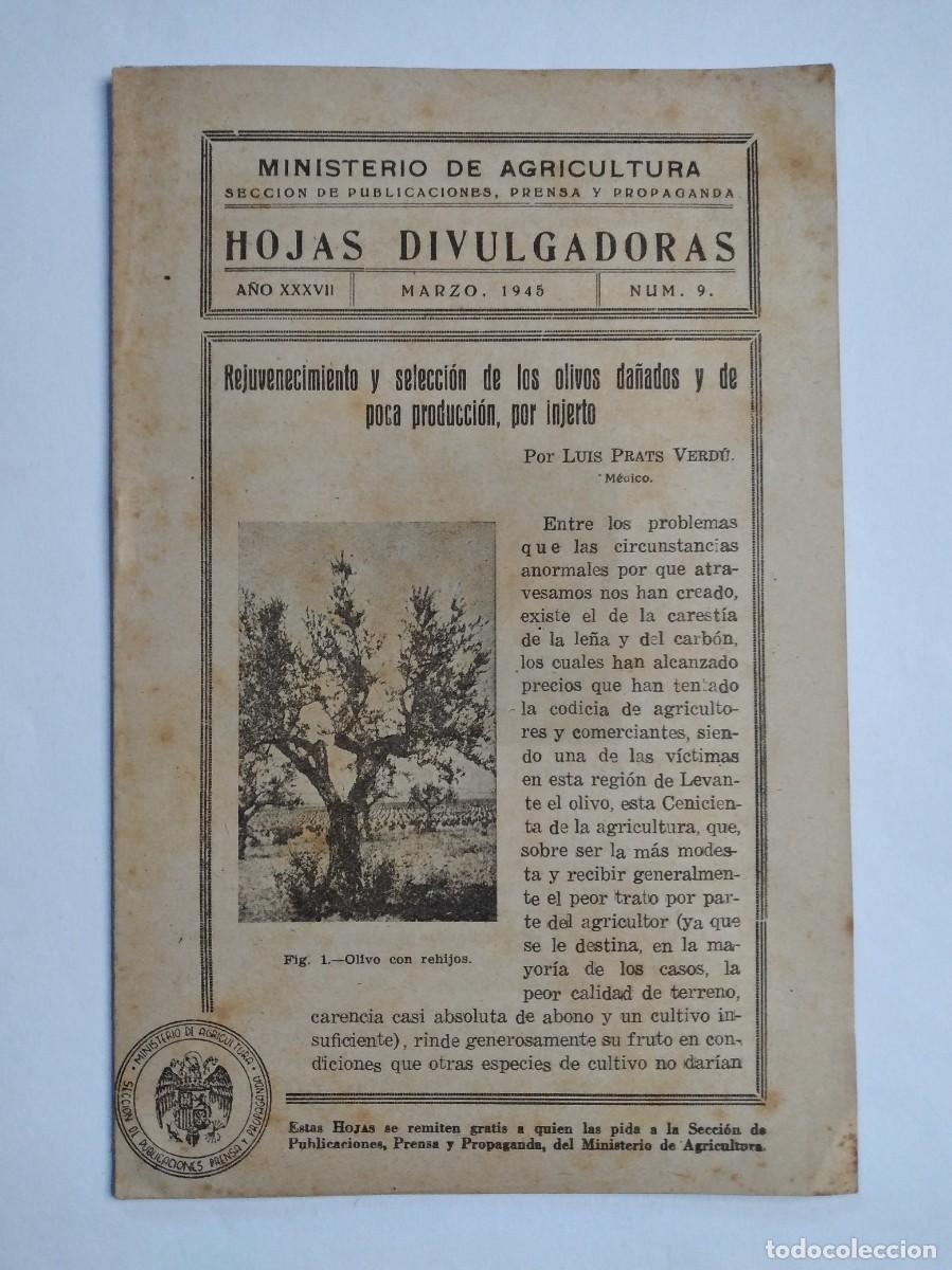 Coleccionismo de revistas y peri&oacute;dicos: HOJAS DIVULGADORAS N&ordm; 9 1945 REJUVENECIMIENTO Y SELECCI&Oacute;N DE LOS OLIVOS DA&Ntilde;ADOS Y POCA PRODUCCI&Oacute;N