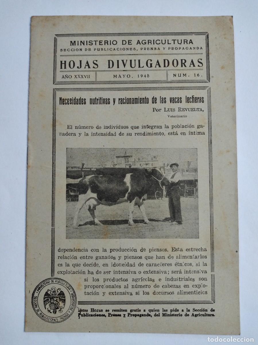 Sammeln von Zeitschriften und Zeitungen: HOJAS DIVULGADORAS N&ordm; 16 1945 NECESIDADES NUTRITIVAS Y RACIONAMIENTO DE LAS VACAS LECHERAS