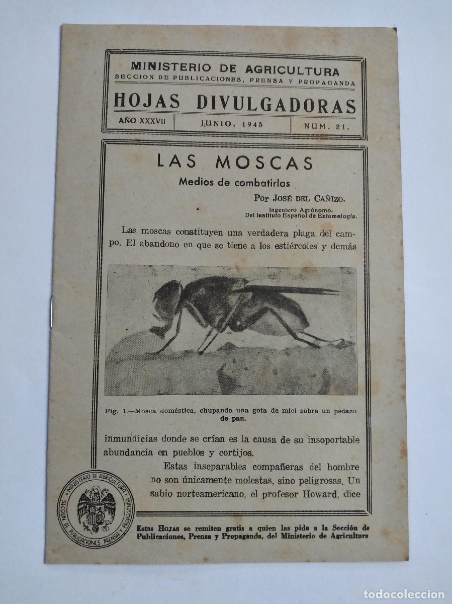 Coleccionismo de Revistas y Peri&oacute;dicos: HOJAS DIVULGADORAS N&ordm; 21 1945 LAS MOSCAS MEDIOS DE COMBATIRLAS JOS&Eacute; DEL CA&Ntilde;IZO