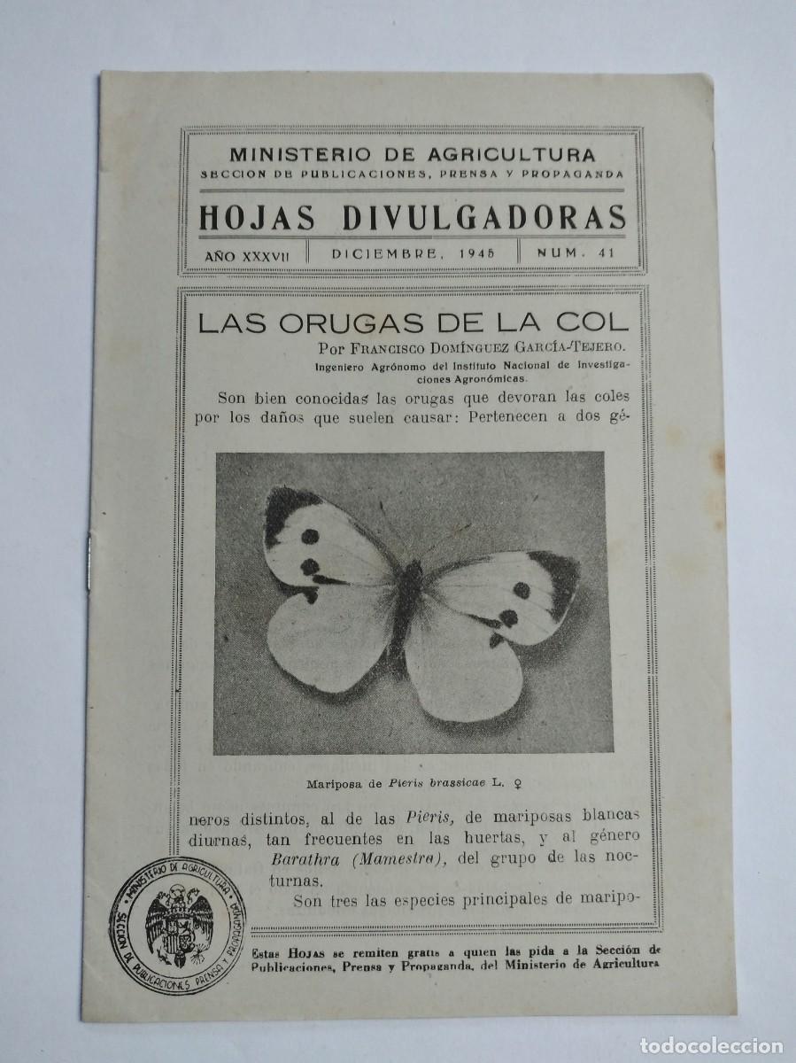 Sammeln von Zeitschriften und Zeitungen: HOJAS DIVULGADORAS N&ordm; 41 1945 LAS ORUGAS DE LA COL FRANCISCO DOMINGUEZ GARCIA TEJERO