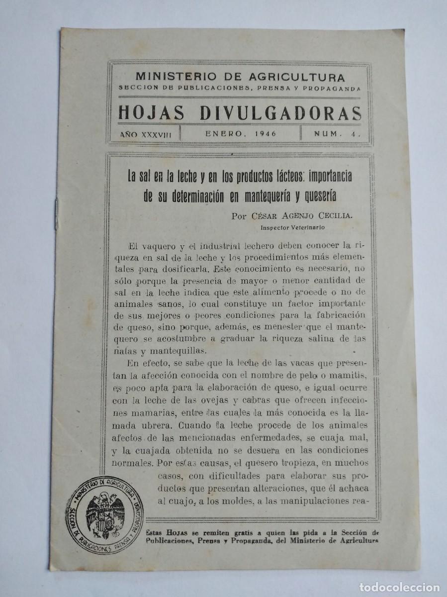Coleccionismo de revistas y peri&oacute;dicos: HOJAS DIVULGADORAS N&ordm; 4 1946 LA SAL EN LA LECHE PRODUCTOS LACTEOS MANTEQUER&Iacute;A QUESERIA