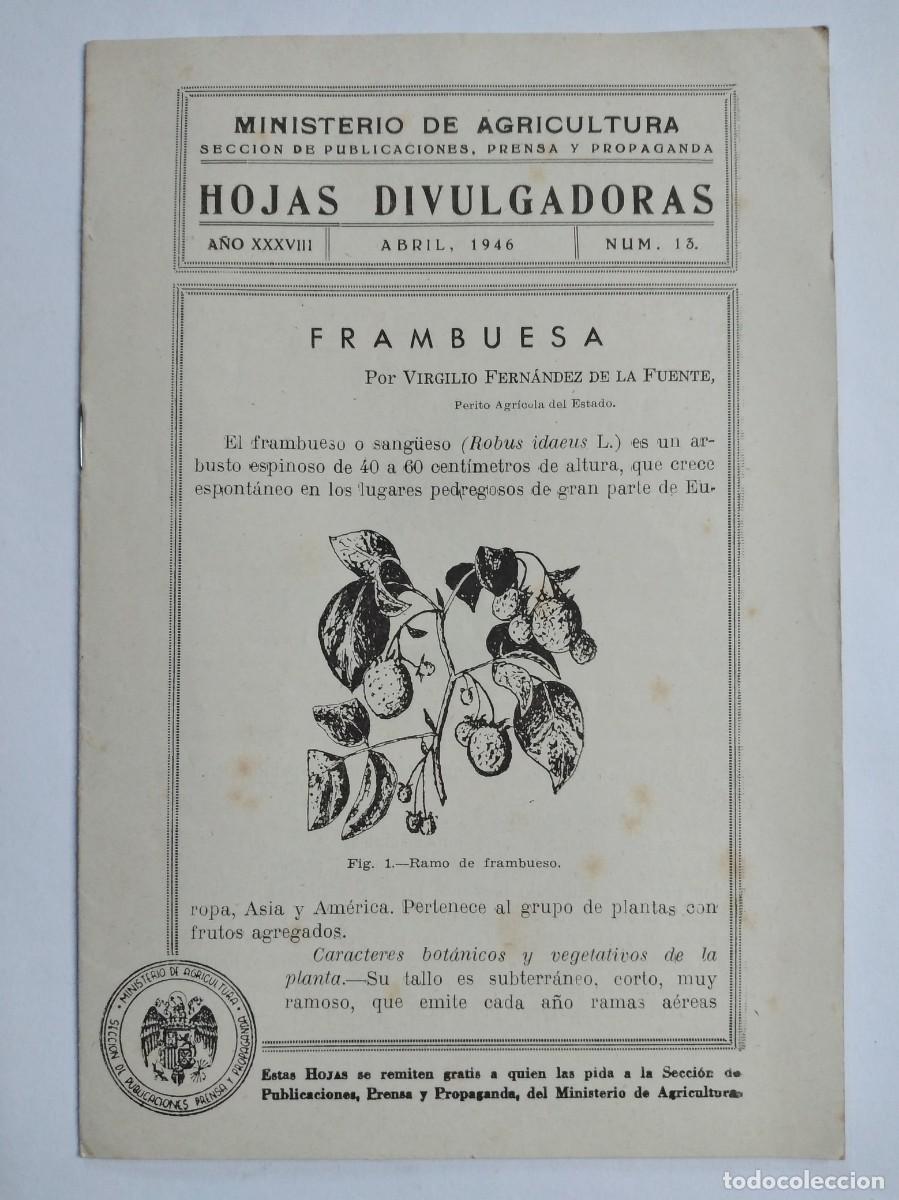 Collection Magazines and Newspapers: HOJAS DIVULGADORAS N&ordm; 13 1946 FRAMBUESA VIRGILIO FERNANDEZ DE LA FUENTE