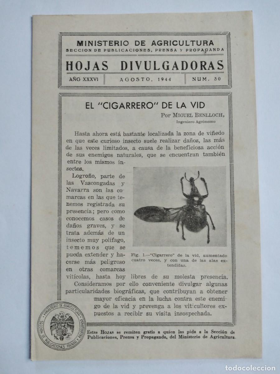 Collection Magazines and Newspapers: HOJAS DIVULGADORAS N&ordm; 30 1944 EL CIGARRERO DE LA VID MIGUEL BENLLOCH