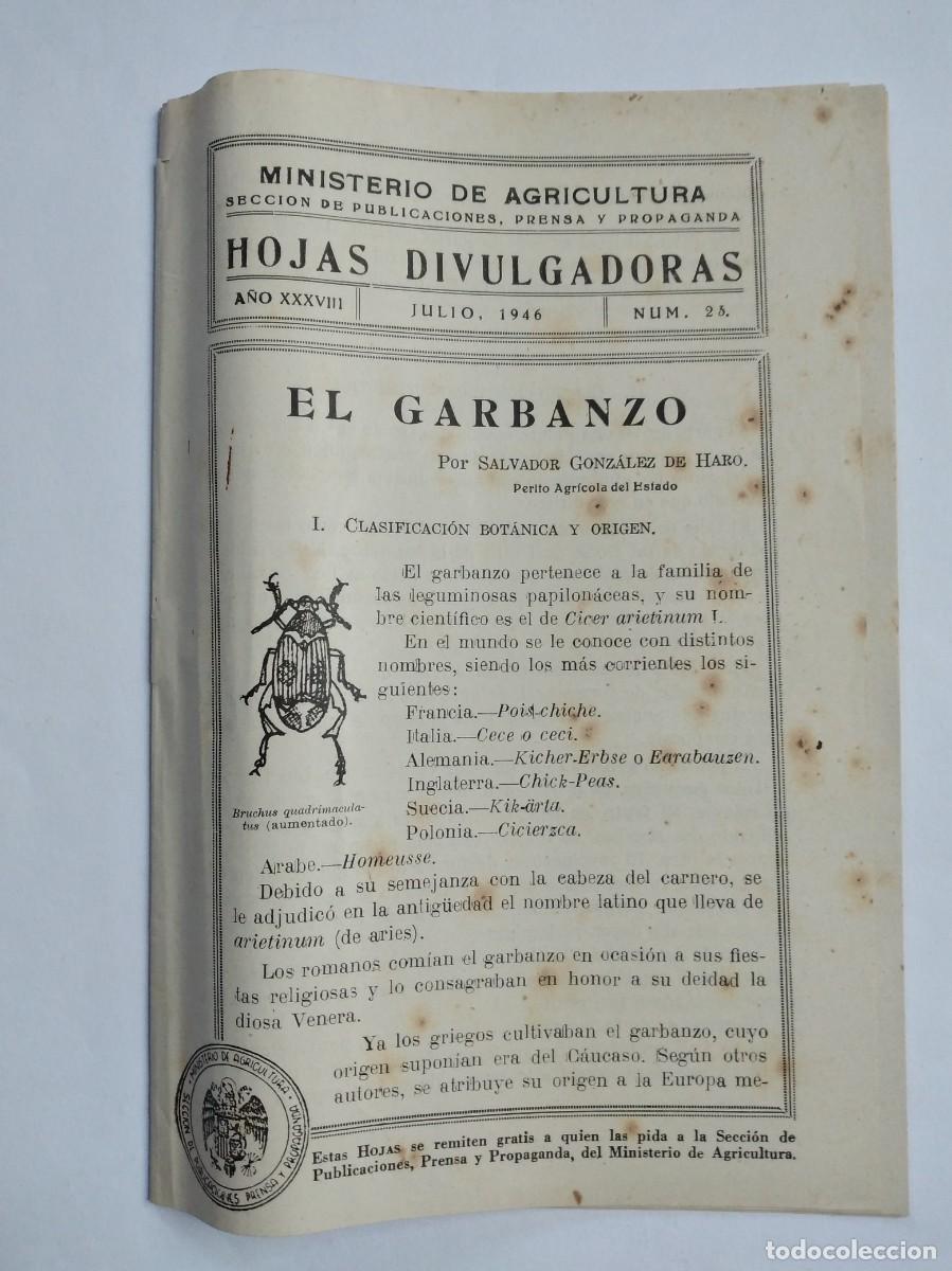 Sammeln von Zeitschriften und Zeitungen: HOJAS DIVULGADORAS N&ordm; 23 1946 EL GARBANZO SALVADOR GONZALEZ DE HARO