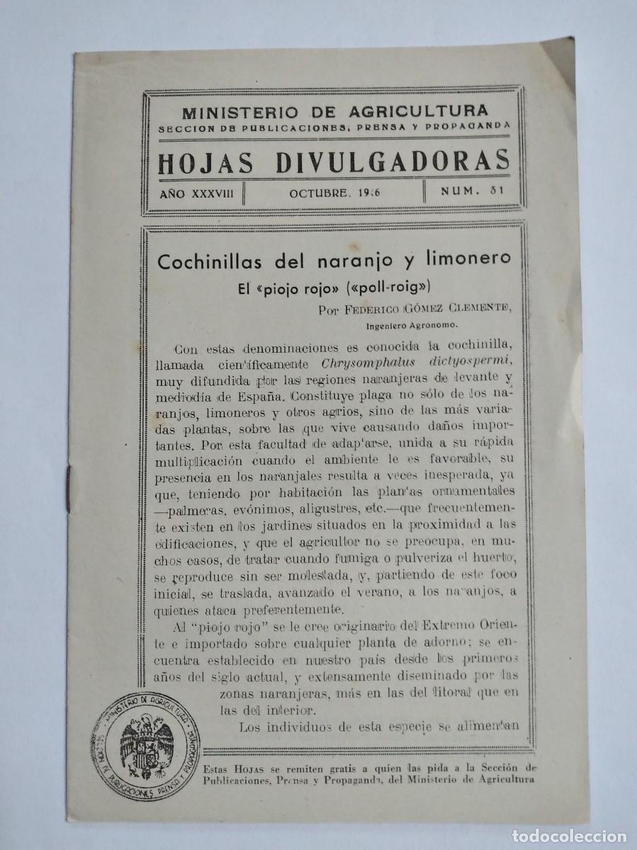 Collection Magazines and Newspapers: HOJAS DIVULGADORAS N&ordm; 31 1946 COCHINILLAS DEL NARANJO Y LIMONERO EL PIOJO ROJO