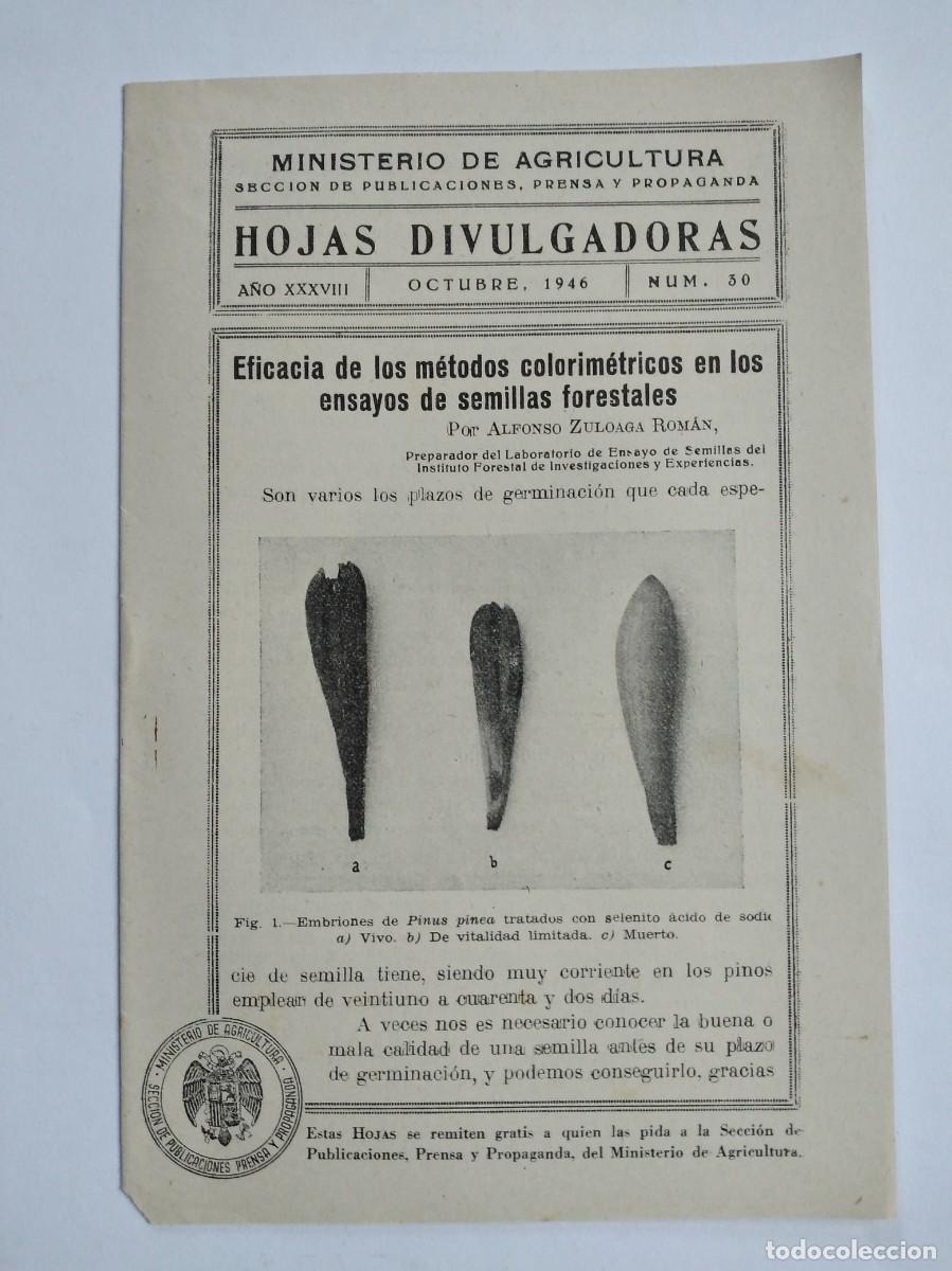Collection Magazines and Newspapers: HOJAS DIVULGADORAS N&ordm; 30 1946 EFICACIA DE LOS METODOS COLORIMETRICOS EN SEMILLAS FORESTALES