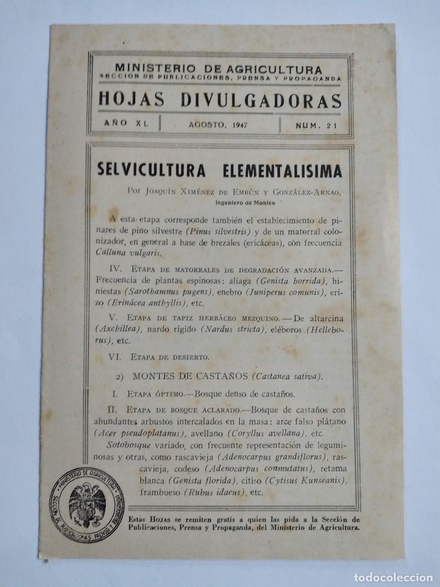 Collection Magazines and Newspapers: HOJAS DIVULGADORAS N&ordm; 21 1947 SELVICULTURA ELEMENTALISIMA