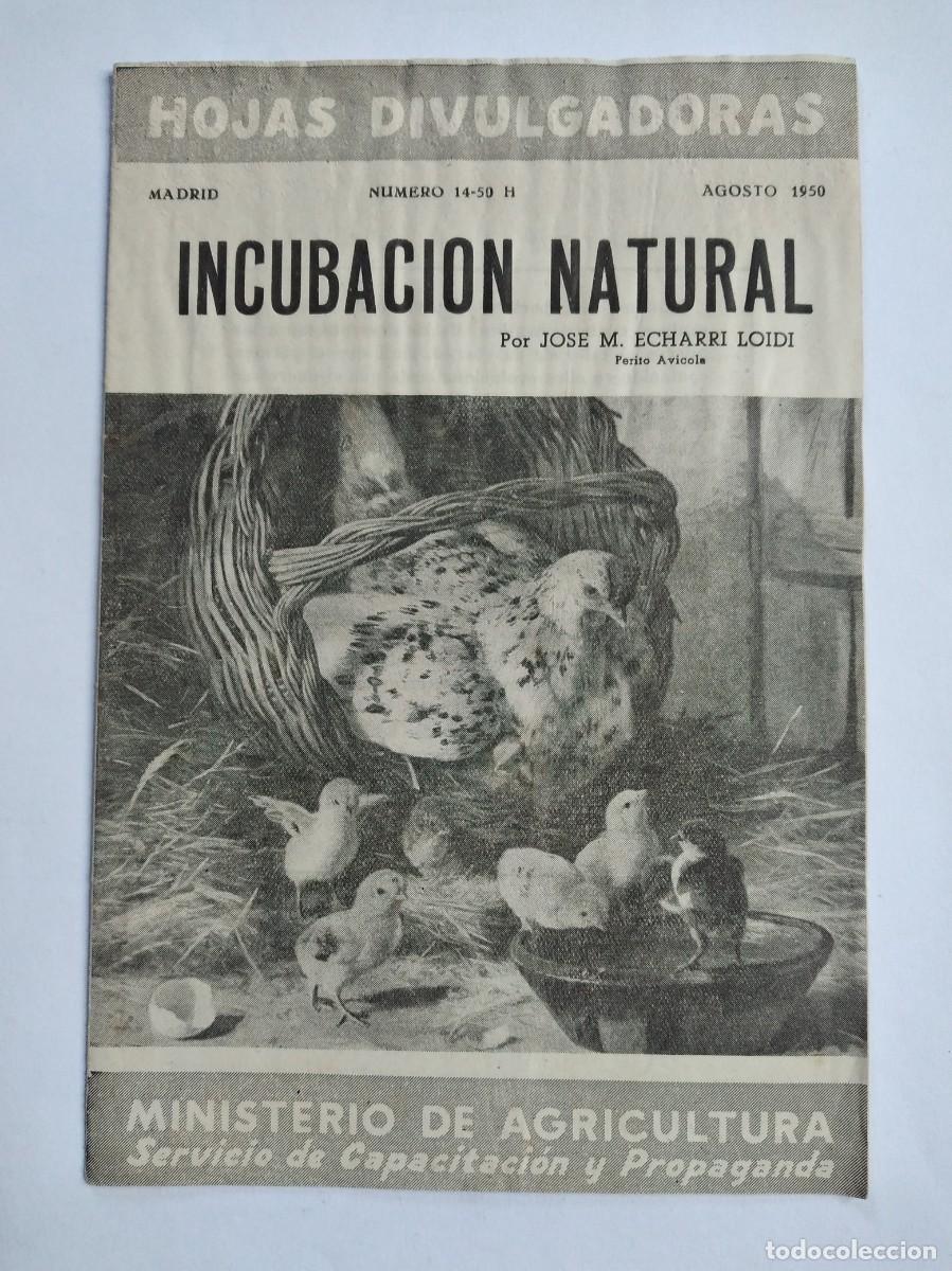 Collection Magazines and Newspapers: HOJAS DIVULGADORAS N&ordm; 14 1950 INCUBACION NATURAL JOSE M. ECHARRI LOIDI