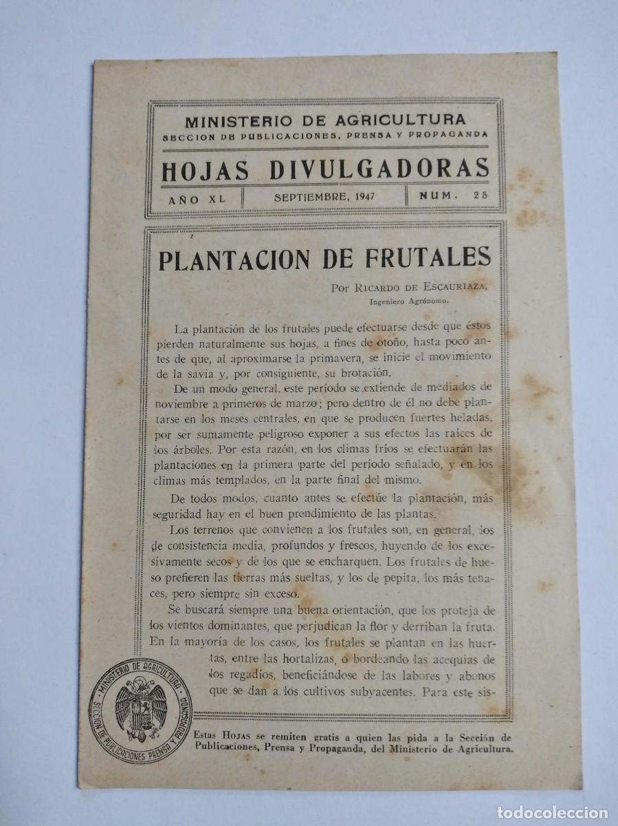 Collection Magazines and Newspapers: HOJAS DIVULGADORAS N&ordm; 25 1947 PLANTACION DE FRUTALES RICARDO DE ESCAURIAZA