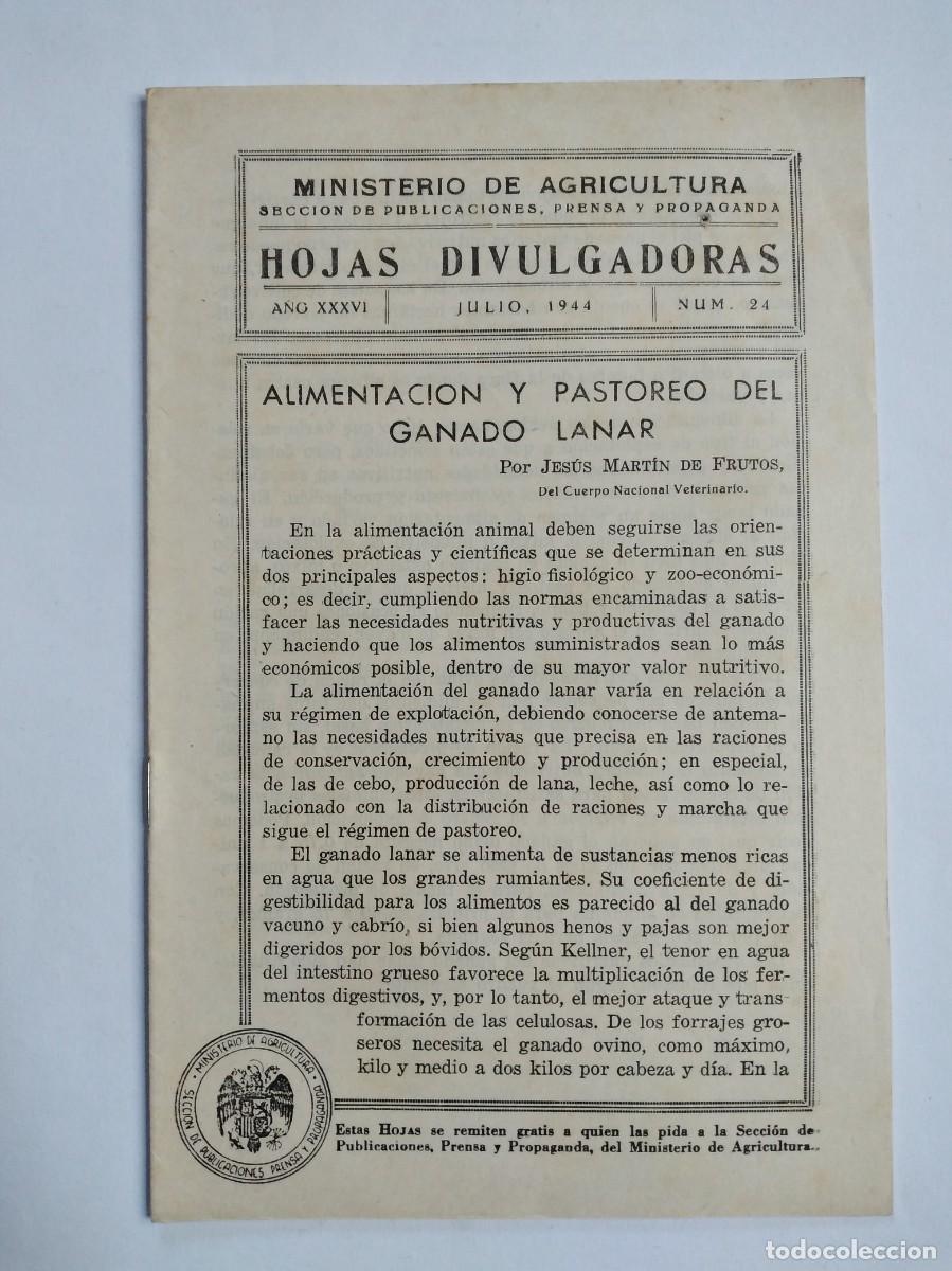 Collection Magazines and Newspapers: HOJAS DIVULGADORAS N&ordm; 24 1944 ALIMENTACION Y PASTOREO DEL GANADO LANAR JESUS MARTIN DE FRUTOS