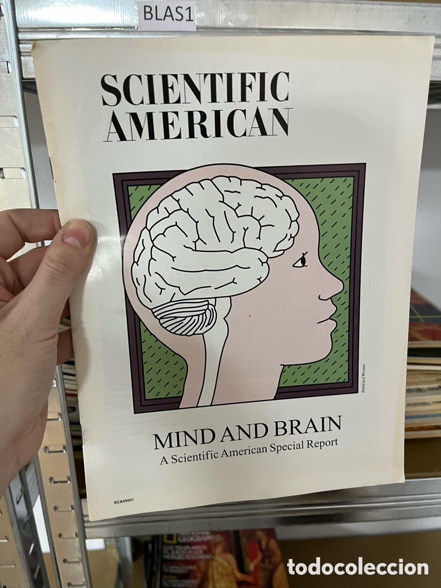 Colecionismo de Revistas e Jornais: Blas1- SCIENTIFIC AMERICAN Patricia J. Wynne MIND AND BRAIN A Scientific American Special Report