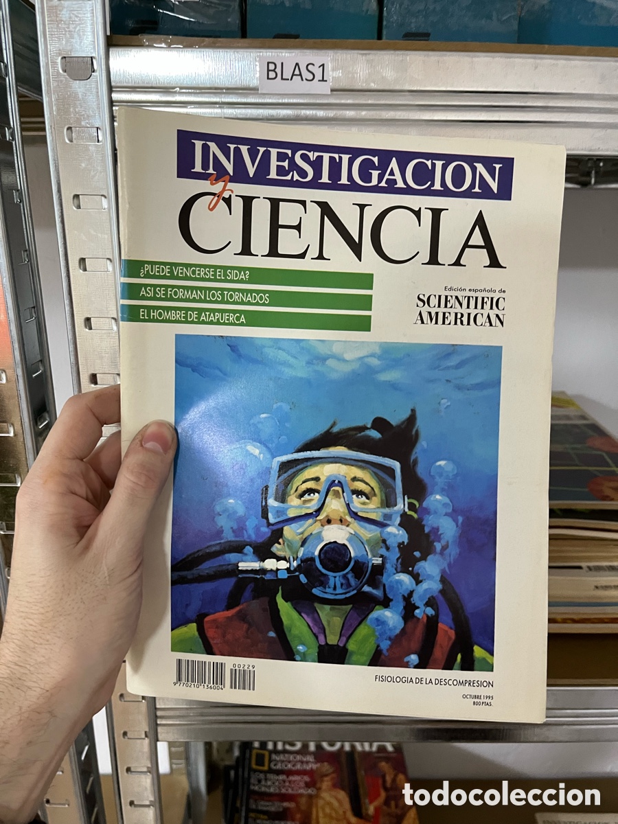 Colecionismo de Revistas e Jornais: Blas1 - INVESTIGACION Y CIENCIA octubre 1995