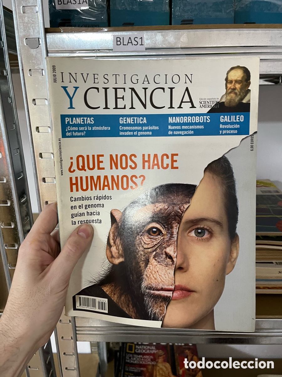 Colecionismo de Revistas e Jornais: Blas1 - INVESTIGACION Y CIENCIA Julio 2009