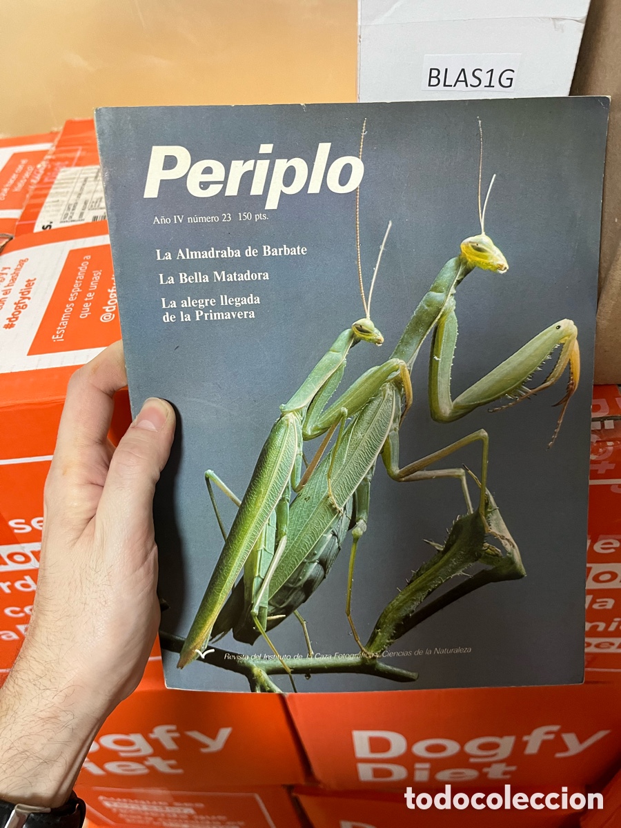 Coleccionismo de revistas y peri&oacute;dicos: Blas1G Periplo A&ntilde;o IV n&uacute;mero 23 La Almadraba de Barbate La Bella Matadora