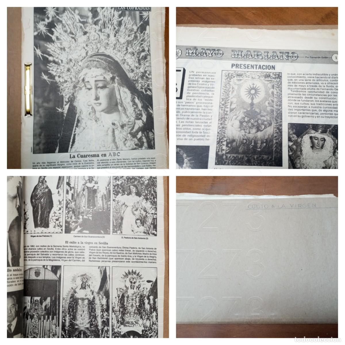 Coleccionismo de Revistas y Peri&oacute;dicos: SEMANA SANTA SEVILLA CULTO A LA VIRGEN DOSSIER UNAS 30PG LG52