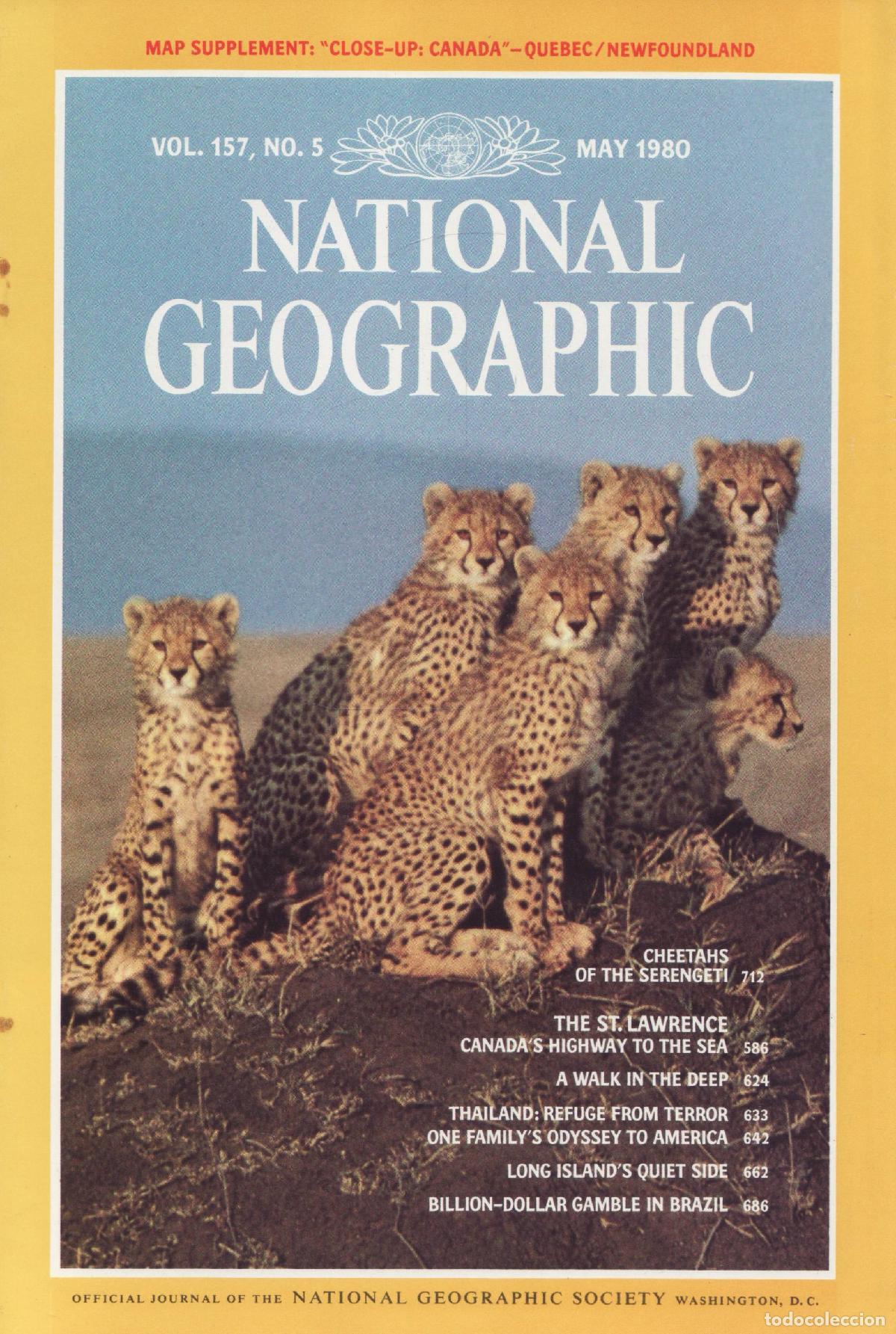 Collezionismo di Riviste e Giornali: National geographic (Vol 157, 5, May 1980) - Varios autores