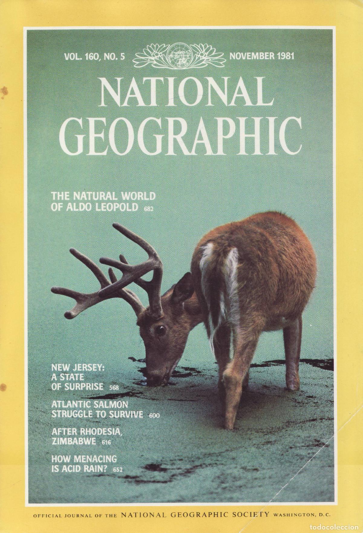 Collezionismo di Riviste e Giornali: National geographic (Vol 160, 5, November 1981) - Varios autores