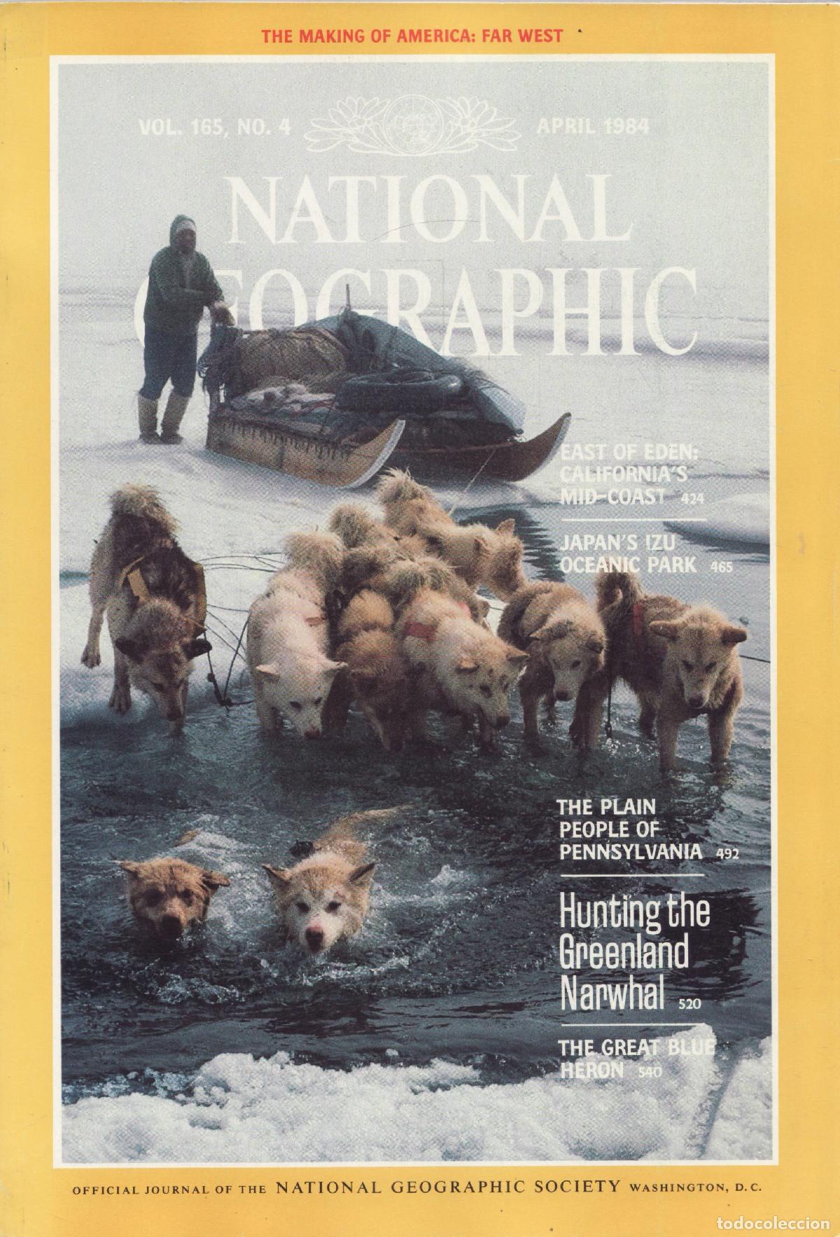 Collezionismo di Riviste e Giornali: National geographic (Vol 165, 4, April 1984) - Varios autores