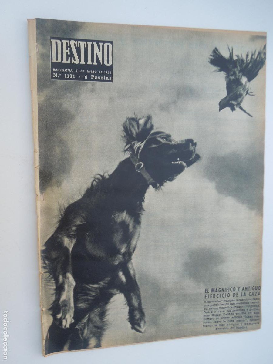Coleccionismo de Revistas y Peri&oacute;dicos: DESTINO REVISTA N&ordm; 1121 - BARCELONA 1959 - MIGUEL DELIBES ESCRIBE SOBRE LA CAZA MENOR...