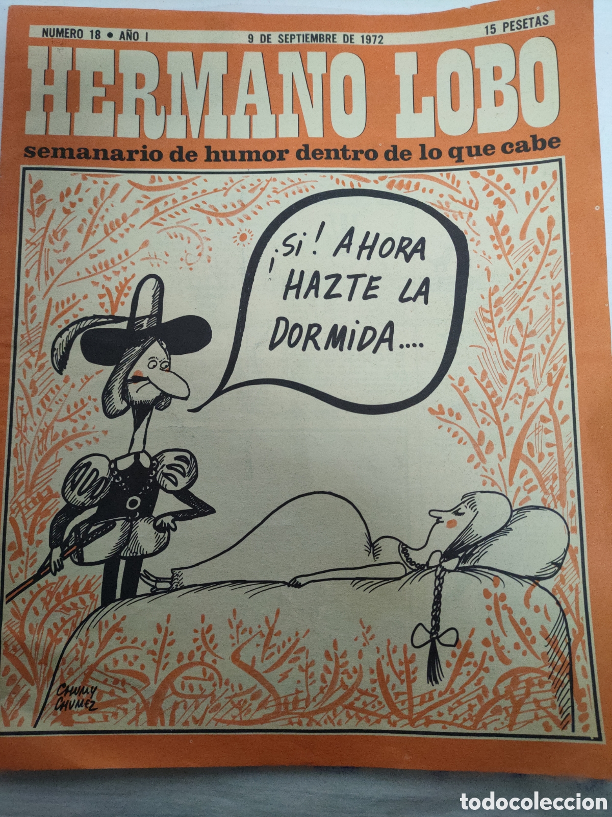 Collezionismo di Riviste e Giornali: REVISTA HERMANO LOBO.N-18.A&Ntilde;O 1972