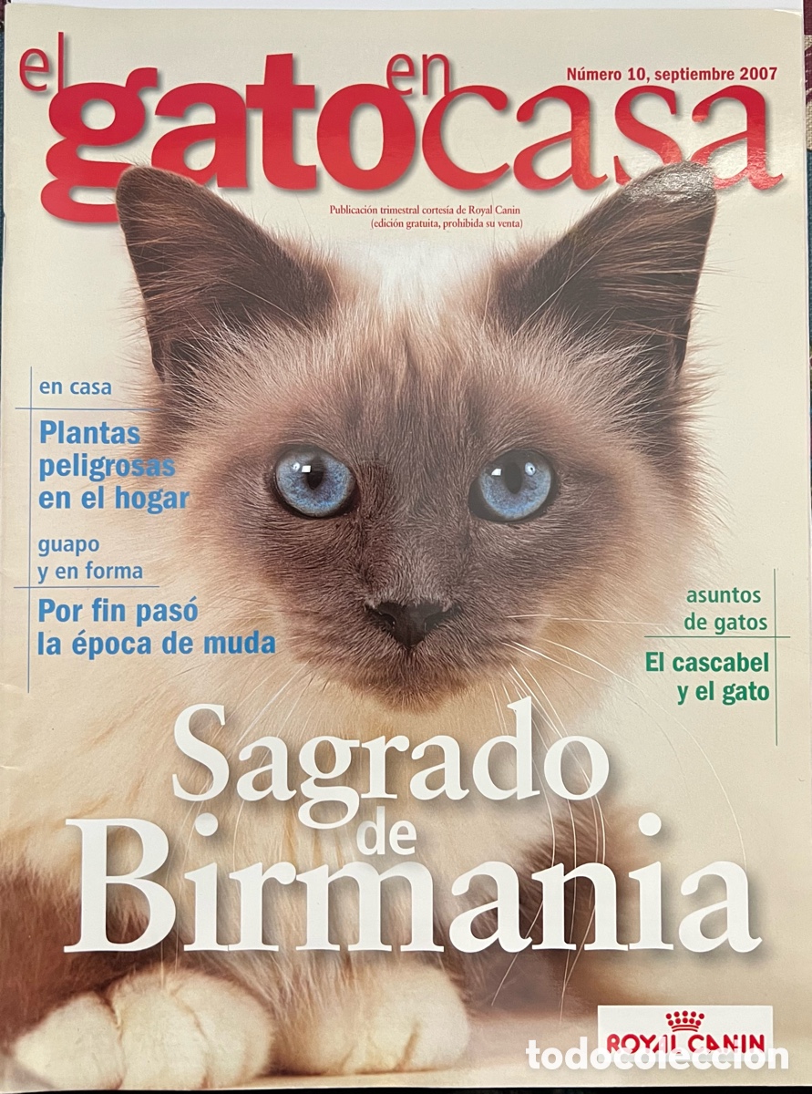 Collectionnisme de Revues et Journaux: REVISTA EL GATO EN CASA -N&Uacute;MERO 10 - SEPTIEMBRE 2007