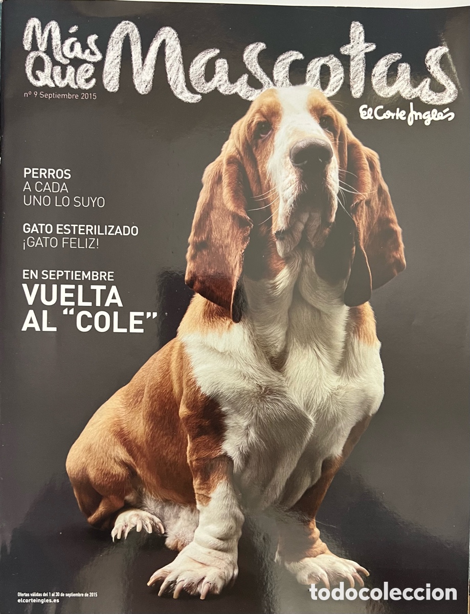 Collectionnisme de Revues et Journaux: REVISTA M&Aacute;S QUE MASCOTAS - N&Uacute;MERO 9 - SEPTIEMBRE 2015