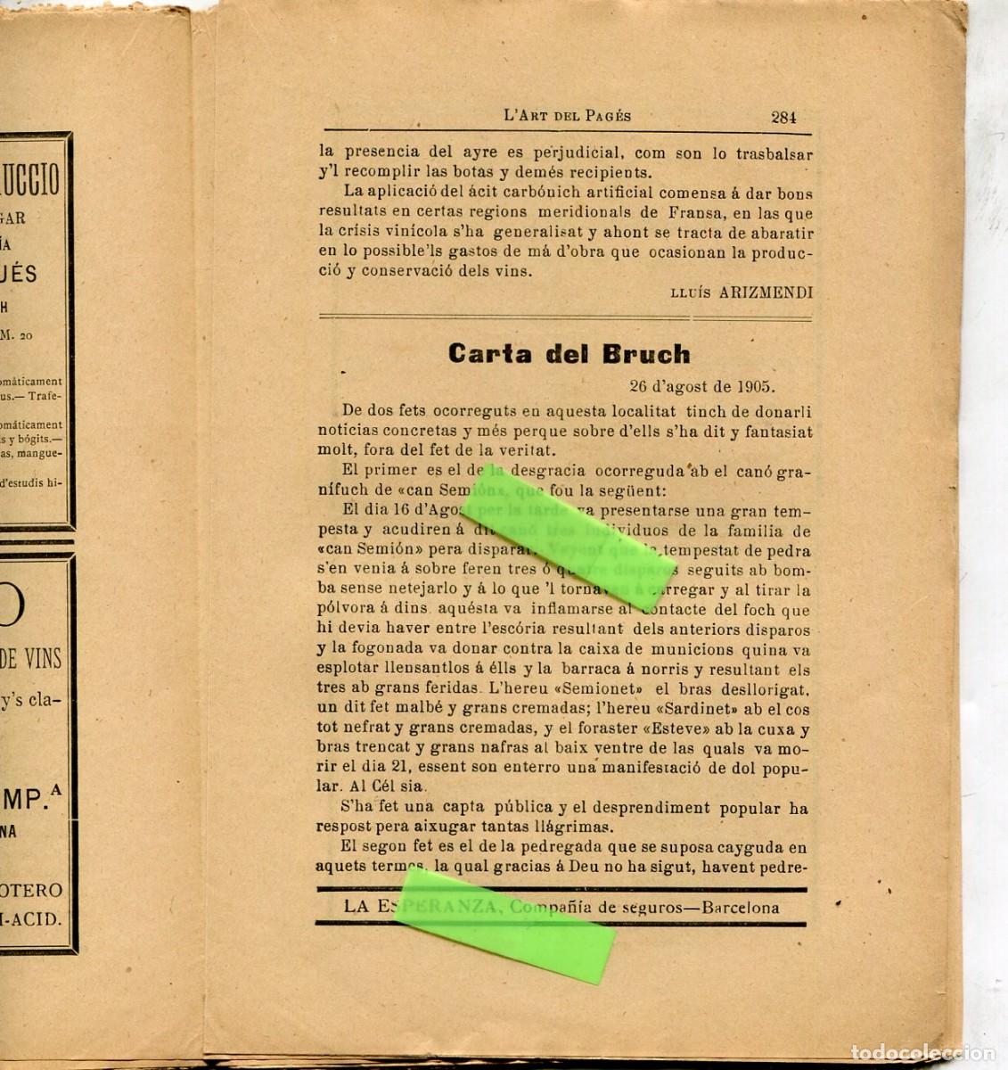 Coleccionismo de revistas y peri&oacute;dicos: REVISTA ANY 1905 NOTICIA SOBRE EL POBLE DEL BRUC LA VINYA A CAPELLADES GANDESA REUS SITGES TREMP