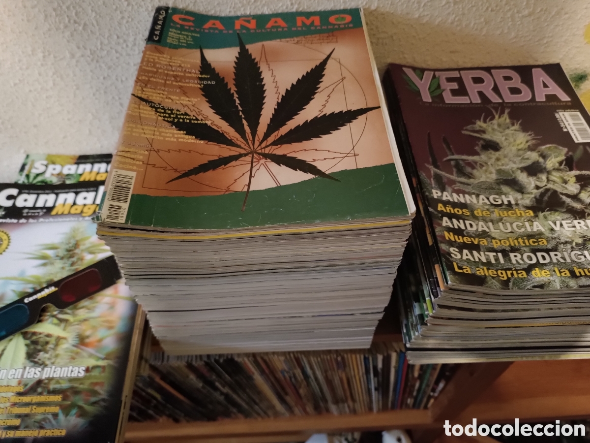 Coleccionismo de Revistas y Peri&oacute;dicos: 85 Revistas C&aacute;&ntilde;amo, Yerba, Spannabis Magazine, Cannabis Magazine.