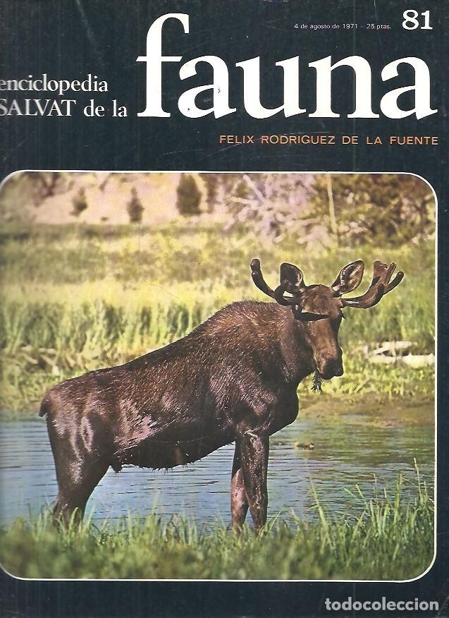 Coleccionismo de revistas y peri&oacute;dicos: ENCICLOPEDIA SALVAT DE LA FAUNA 81 FELIX RODRIGUEZ DE LA FUENTE