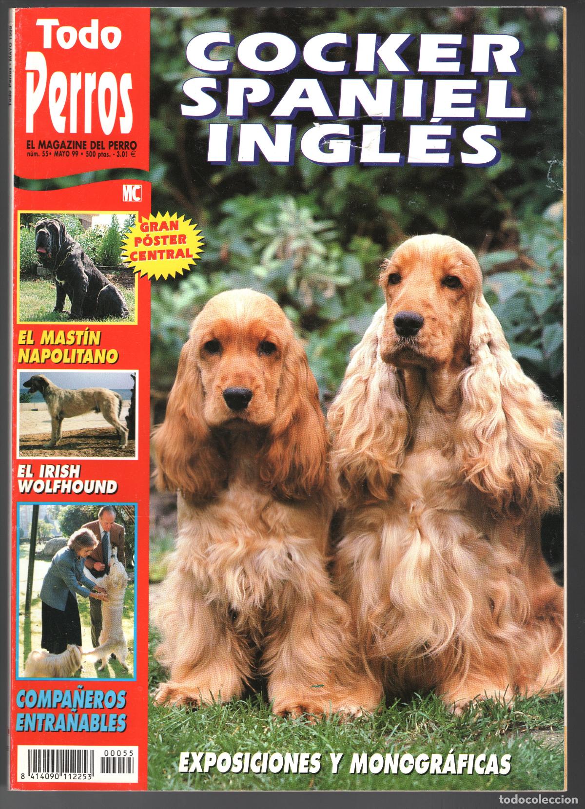 Coleccionismo de Revistas y Peri&oacute;dicos: REVISTA TODO PERROS N&ordm; 55 - MAYO 1999 - COCKER SPANIEL INGL&Eacute;S / EL MAST&Iacute;N NAPOLITANO