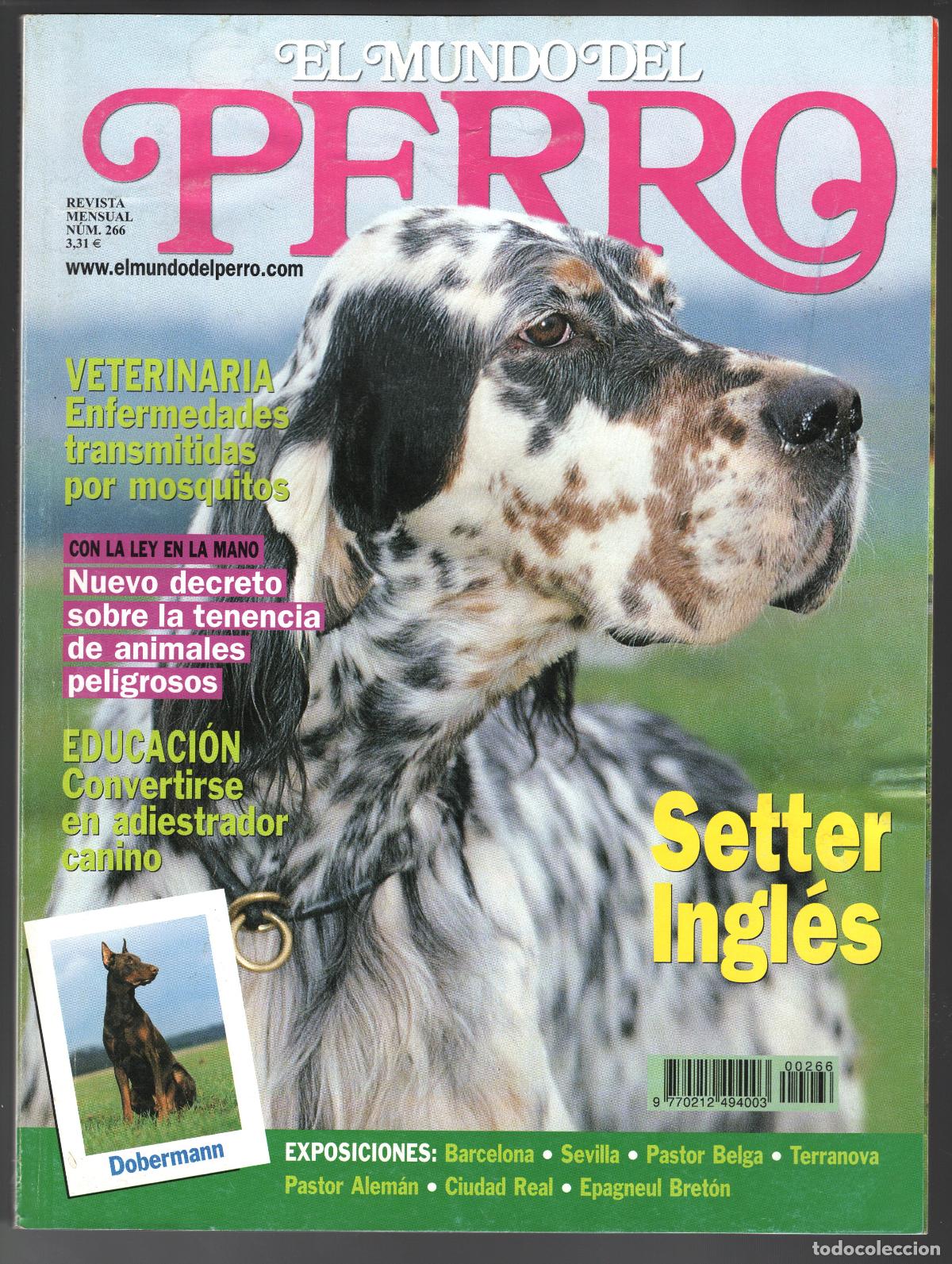 Coleccionismo de Revistas y Peri&oacute;dicos: REVISTA EL MUNDO DEL PERRO N&ordm; 266 - SETTER INGL&Eacute;S / DOBERMANN