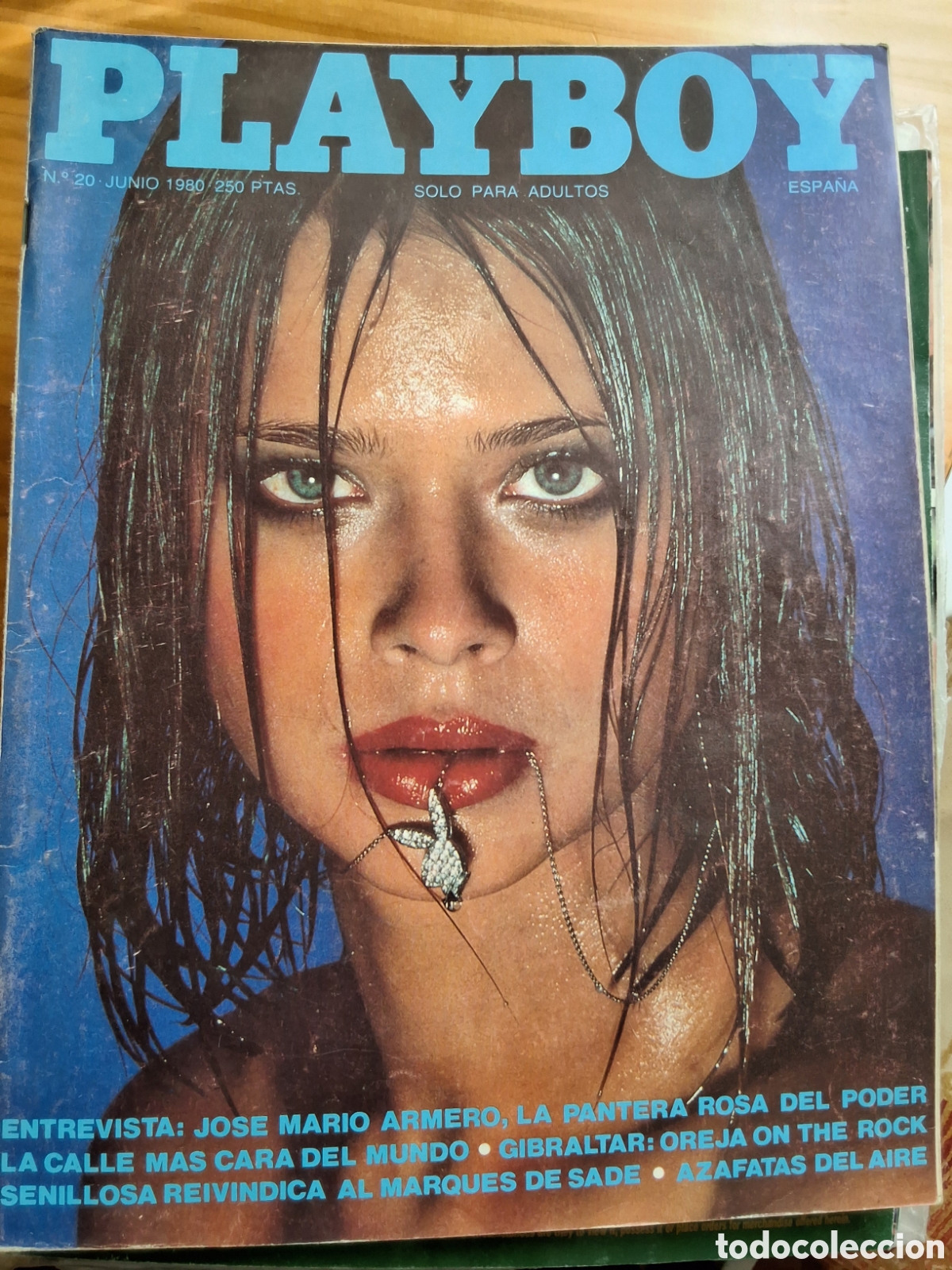 playboy mensual español revista erotica desnudo - Compra venta en