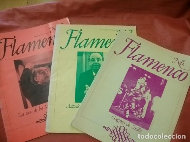Collection Magazines and Newspapers: LOTE FLAMENCO, REVISTA MENSUAL DE FLAMENCOLOG&Iacute;A (N&ordm; 1 AL 3 DE 1979)