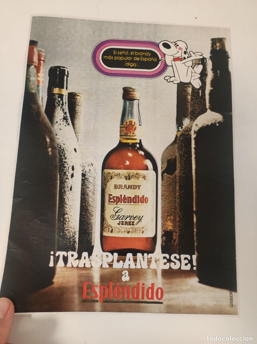 Coleccionismo de Revistas y Peri&oacute;dicos: HOJA PUBLICIDAD REVISTA ORIGINAL VINTAGE. BRANDY ESPLENDIDO GARVEY JEREZ