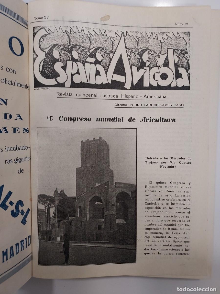 Coleccionismo de Revistas y Peri&oacute;dicos: ESPA&Ntilde;A AV&Iacute;COLA. REVISTA QUINCENAL ILUSTRADA HISPANO-AMERICANA. 1932 1933. AVICULTURA COLOMBOFILIA