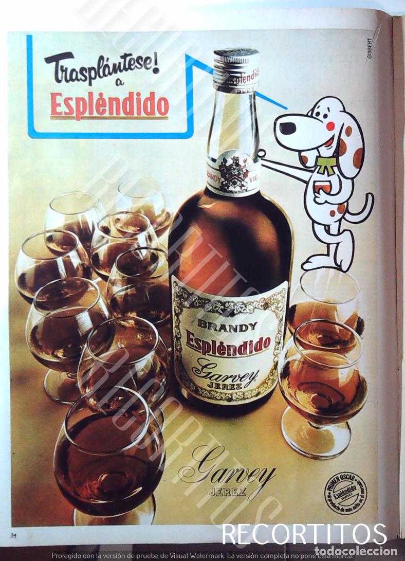 Coleccionismo de Revistas y Peri&oacute;dicos: ESPLENDIDO BRANDY COGNAC GARVEY ANUNCIO PUBLICIDAD