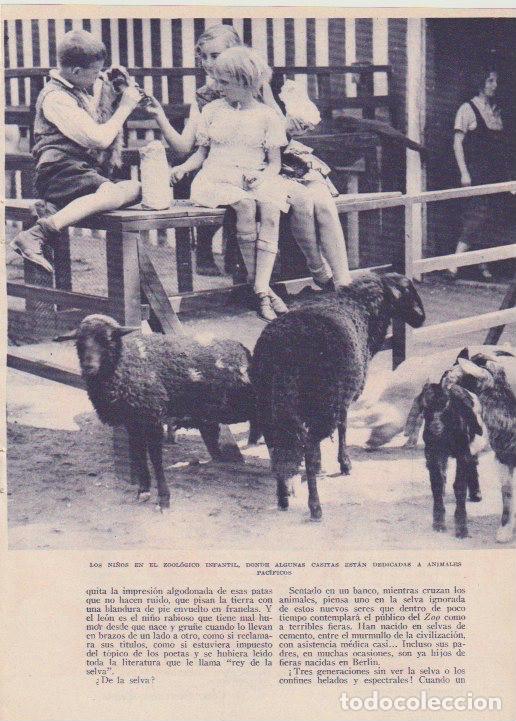 Coleccionismo de revistas y peri&oacute;dicos: * BERL&Iacute;N * Parque zool&oacute;gico - 1933