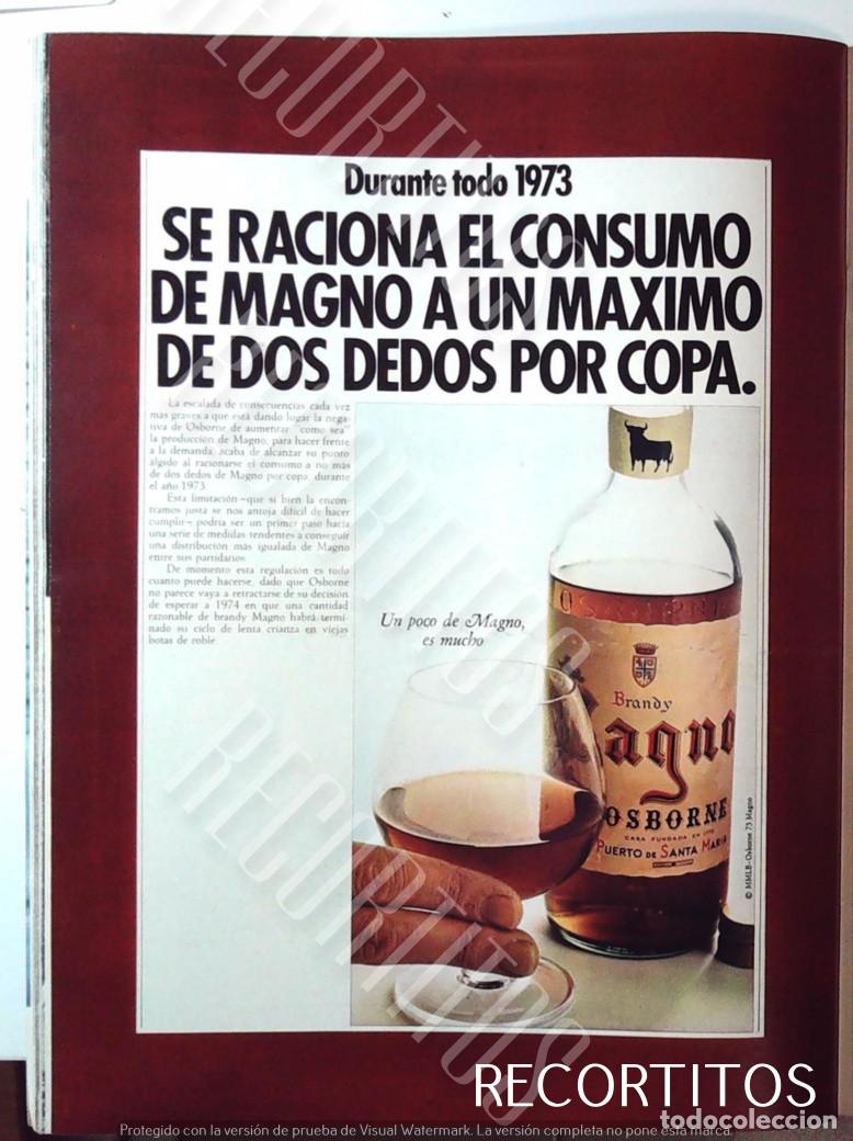 Coleccionismo de Revistas y Peri&oacute;dicos: magno brandy anuncio publicidad