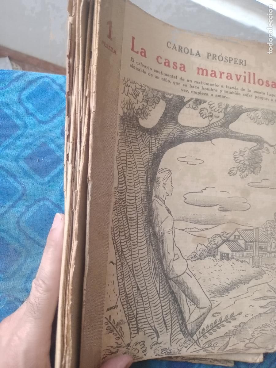 Collezionismo di Riviste e Giornali: Revista Literaria. 19 n&uacute;meros Novelas y cuentos. A&ntilde;os 40