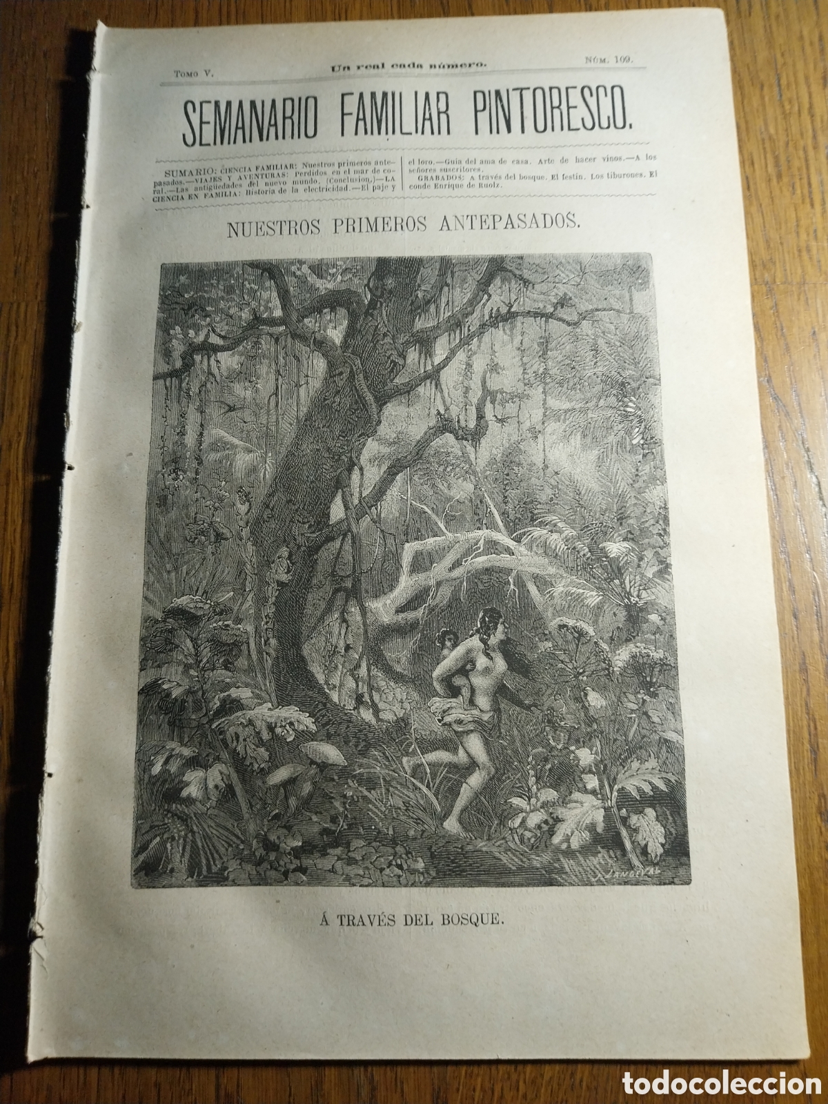 Collezionismo di Riviste e Giornali: REVISTA 1881 A TRAV&Eacute;S DEL BOSQUE.EL FESTIN . LOS TIBURONES . EL CONDE ENRIQUE DE RUOLZ