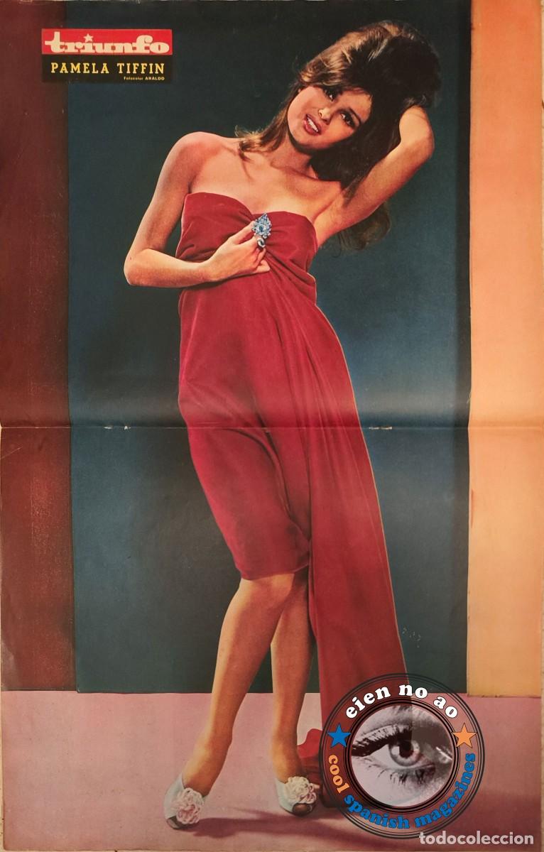 Collezionismo di Riviste e Giornali: Poster # 1965 ~ PAMELA TIFFIN