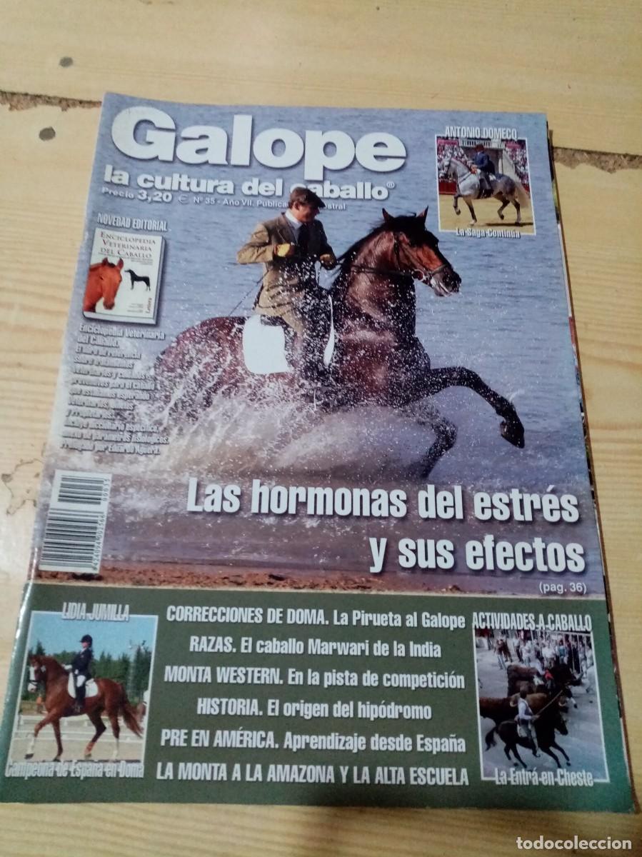Collectionnisme de Revues et Journaux: REVISTA GALOPE LA CULTURA DEL CABALLO. N&ordm; 35. C2R