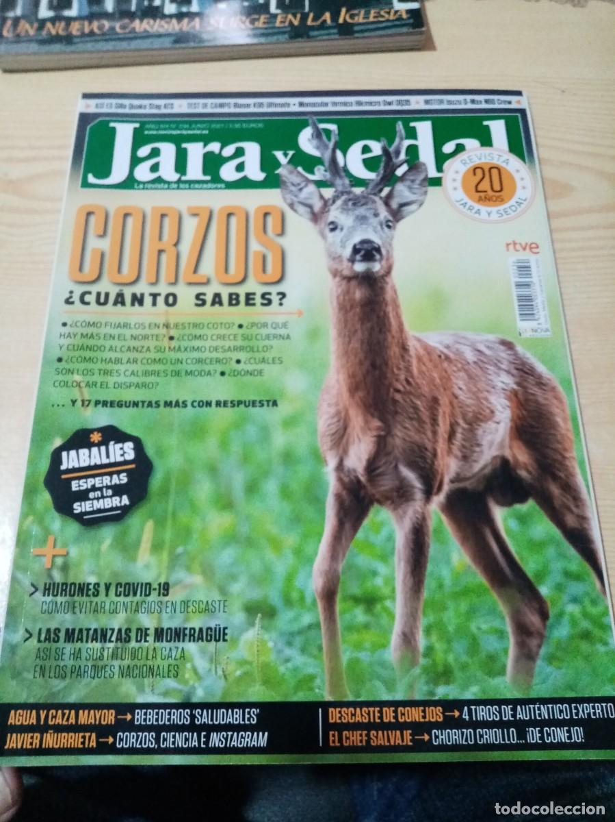 Collectionnisme de Revues et Journaux: REVISTA JARA Y SEDAL. N&ordm; 234. CORZOS. &iquest; CUANTO SABES? C2R