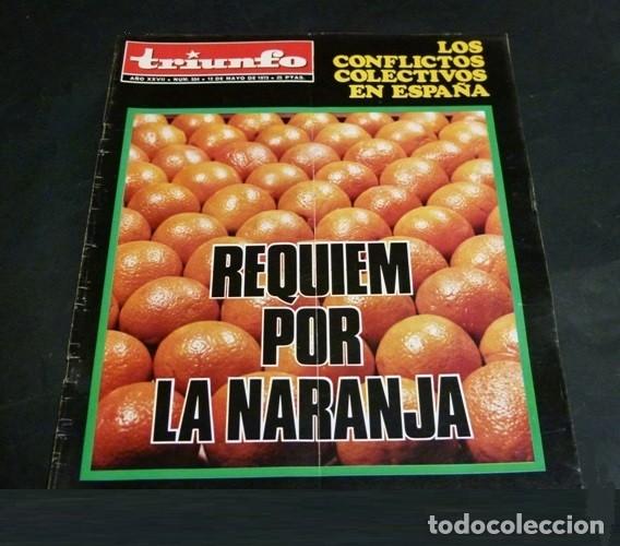 Collection Magazines and Newspapers: [REVISTA TRIUNFO]. N&ordm; 554. A&Ntilde;O 1973. CONFLICTOS COLECTIVOS EN ESPA&Ntilde;A. REQUIEM POR LA NARANJA