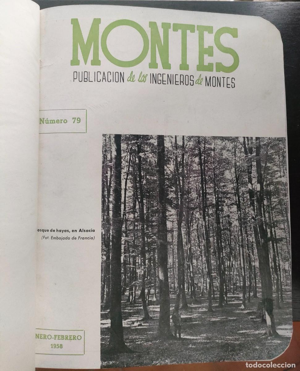 Coleccionismo de Revistas y Peri&oacute;dicos: Montes: publicaci&oacute;n de los ingenieros de montes. 1958