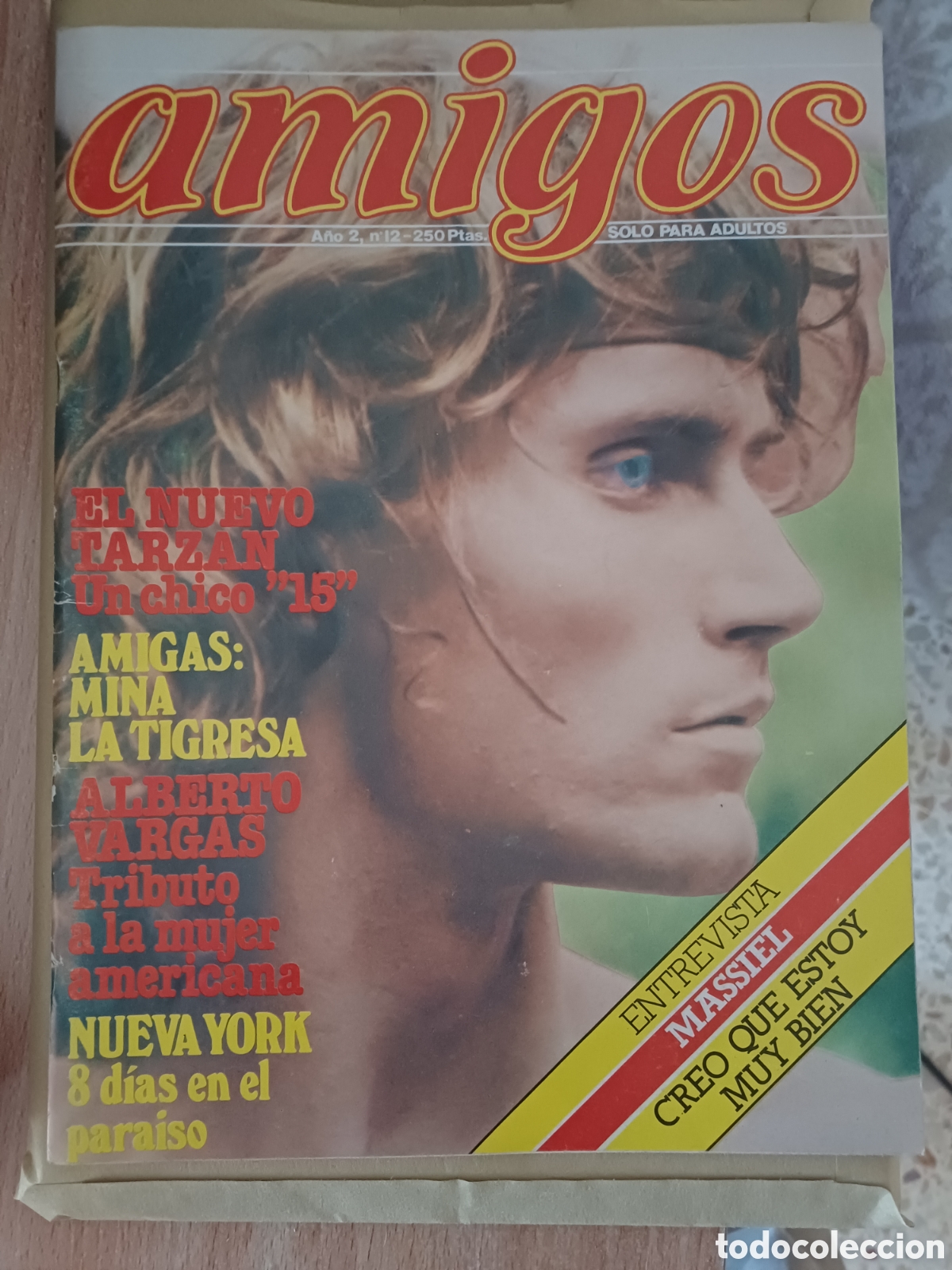 Coleccionismo de revistas y peri&oacute;dicos: Revista Gay Amigos. 12