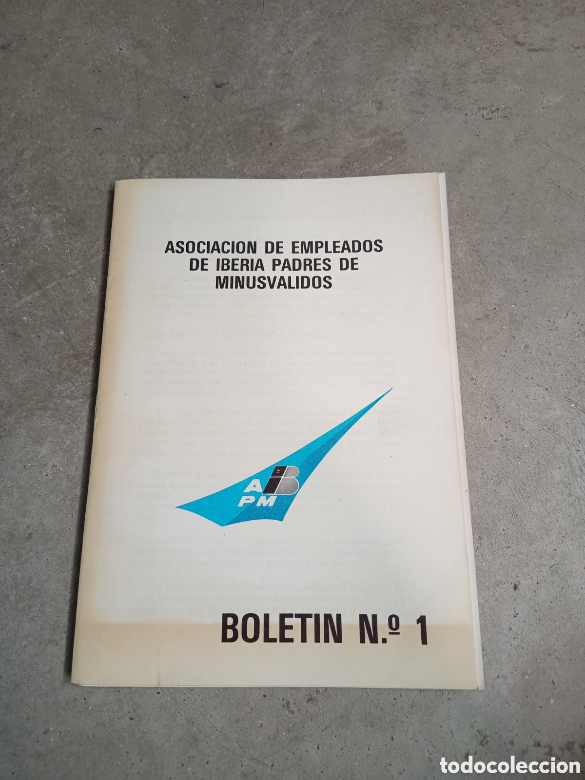 Collezionismo di Riviste e Giornali: BOLETIN N&ordm; 1 -ASOCIACI&Oacute;N DE EMPLEADOS DE IBERIA PADRES MINUSV&Aacute;LIDOS